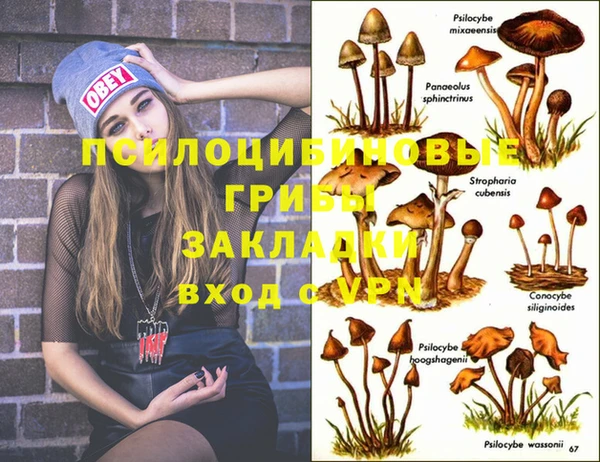 соль ск Заволжье