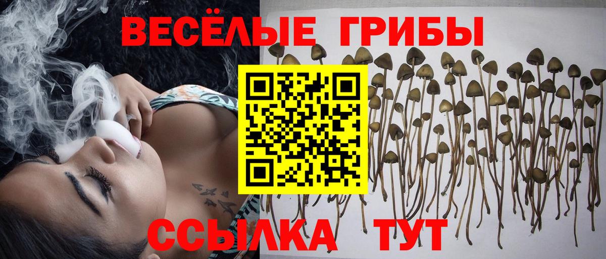 Галлюциногенные грибы прущие грибы  Вход с VPN  Ногинск 